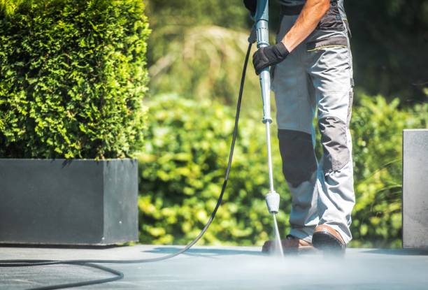 Best Soft Washing  in Franklin Lakes, NJ