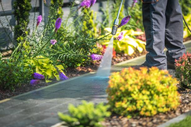 Best Gutter Cleaning  in Franklin Lakes, NJ
